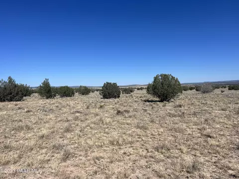 135 SW Boars Breath Rd, Ash Fork, AZ 86320 photo 5