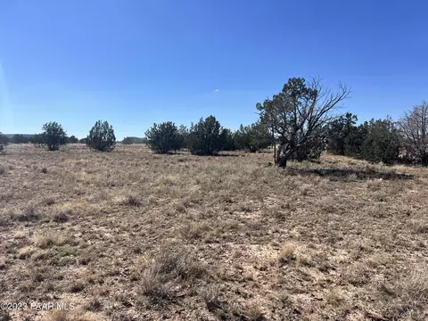 135 SW Boars Breath Rd, Ash Fork, AZ 86320 photo 3