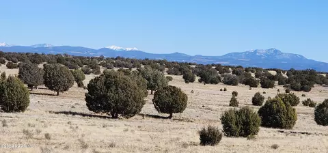 55 SW Qtr Big Jake, Ash Fork, AZ 86320