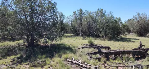 4142 Lore Way, Ash Fork, AZ 86320 photo 10