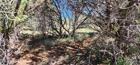4142 Lore Way, Ash Fork, AZ 86320 photo 5