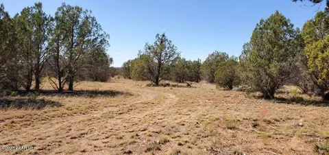 lot80 Juniperwood Rnch, Ash Fork, AZ 86320 photo 2