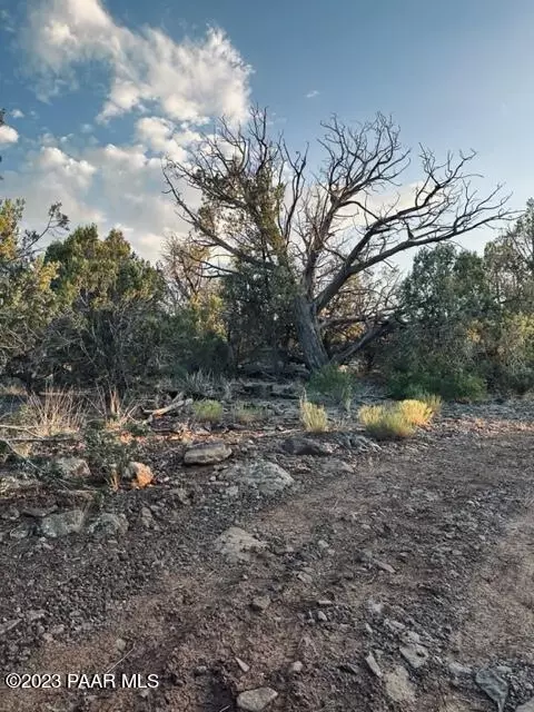 88 NE Stockmans Rd, Ash Fork, AZ 86320 photo 15