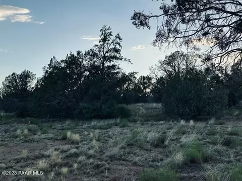 88 NE Stockmans Rd, Ash Fork, AZ 86320 photo 17
