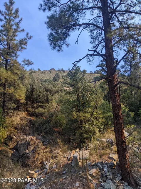 3 Acres Forest Dr, Prescott, AZ 86303