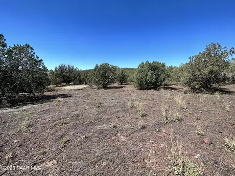 1248 W Picacho Dr, Ash Fork, AZ 86320 photo 6