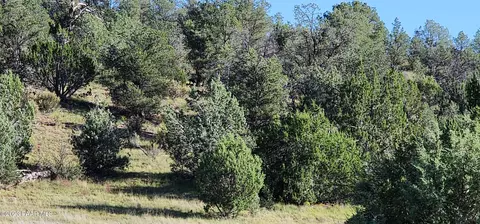 0 Off Falling Leaf, Seligman, AZ 86337 photo 7