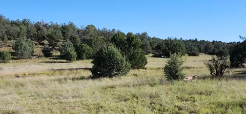 0 Off Falling Leaf, Seligman, AZ 86337 photo 10