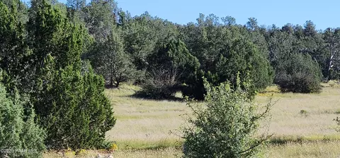 0 Off Falling Leaf, Seligman, AZ 86337