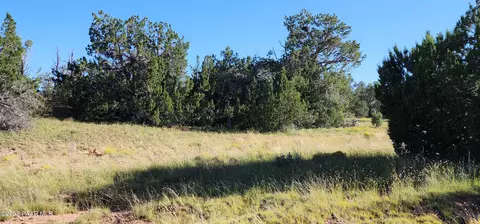 0 Off Falling Leaf, Seligman, AZ 86337 photo 11