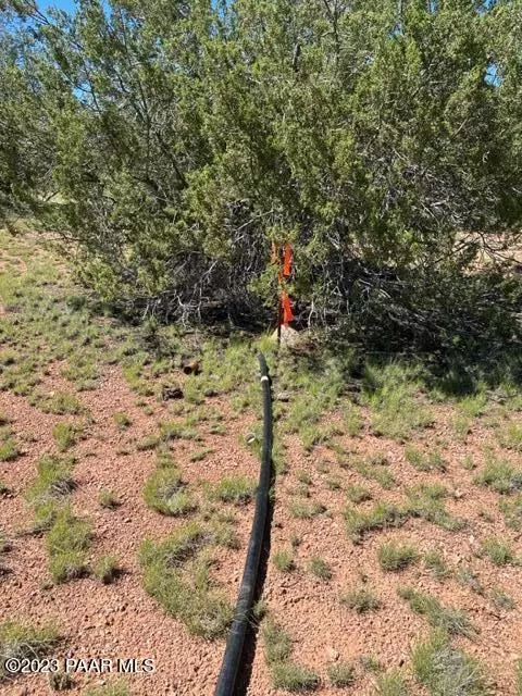 lot293 NW N Flaming Star Dr, Seligman, AZ 86337