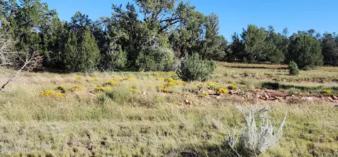 320 Falling Leaf, Seligman, AZ 86337 photo 5