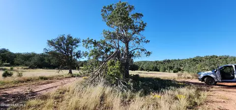 320 Falling Leaf, Seligman, AZ 86337 photo 2
