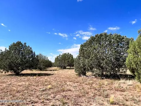 39720 Bowling Ln, Ash Fork, AZ 86320 photo 5