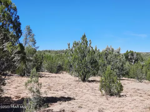 31454 W Avenida Oveja, Seligman, AZ 86337
