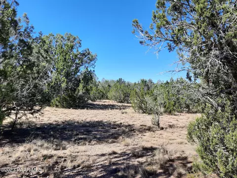 31482 W Avenida Oveja, Seligman, AZ 86337
