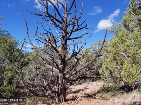 254 Tarantula Way, Ash Fork, AZ 86320 photo 4