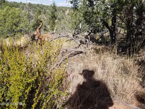 254 Tarantula Way, Ash Fork, AZ 86320 photo 7