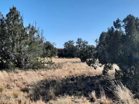 53480 N La Plata Dr, Seligman, AZ 86337