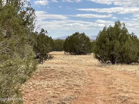 37515 W Howling Coyote Rd, Seligman, AZ 86337
