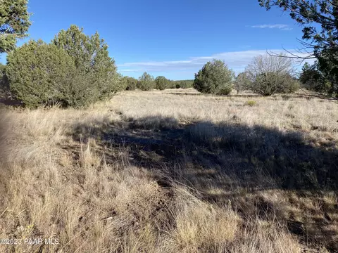 3160 W Mesa Dr, Ash Fork, AZ 86320 photo 3