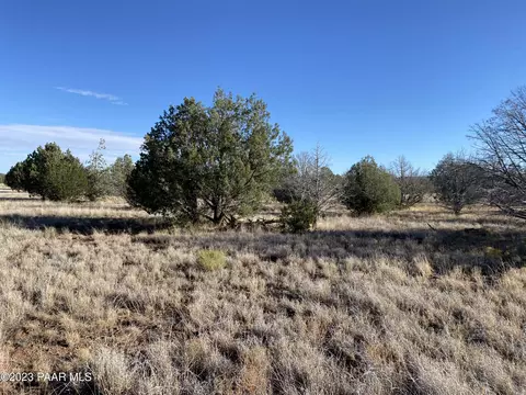 3160 W Mesa Dr, Ash Fork, AZ 86320 photo 4