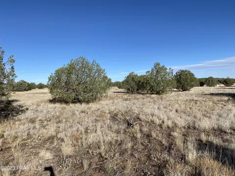 3220 W Mesa Dr, Ash Fork, AZ 86320 photo 3