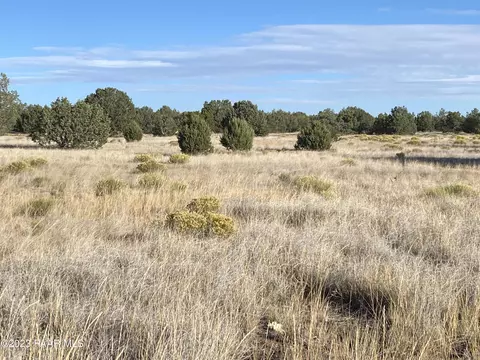 3161 W Ridgeview Dr, Ash Fork, AZ 86320 photo 2