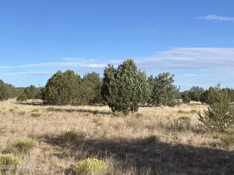3161 W Ridgeview Dr, Ash Fork, AZ 86320 photo 4