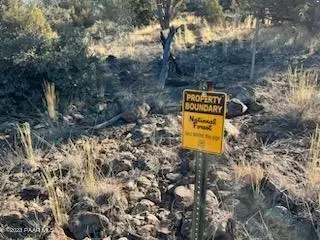 170 Juniperwood Rnch, Ash Fork, AZ 86320 photo 10