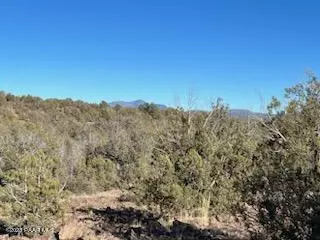 170 Juniperwood Rnch, Ash Fork, AZ 86320 photo 6