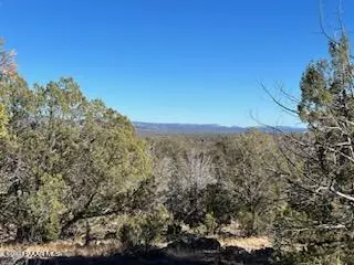 170 Juniperwood Rnch, Ash Fork, AZ 86320 photo 4
