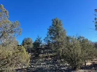 170 Juniperwood Rnch, Ash Fork, AZ 86320 photo 5
