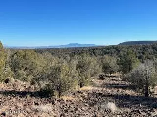 170 Juniperwood Rnch, Ash Fork, AZ 86320 photo 11