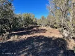 170 Juniperwood Rnch, Ash Fork, AZ 86320 photo 3