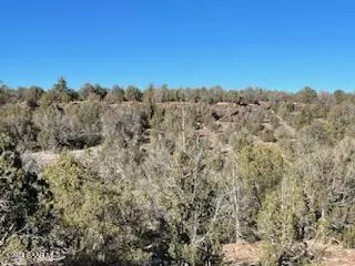 170 Juniperwood Rnch, Ash Fork, AZ 86320 photo 9
