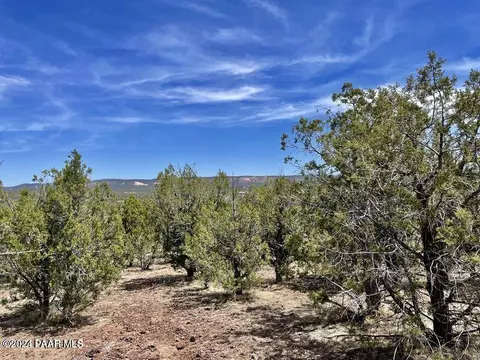 20842026 W Albert Way, Ash Fork, AZ 86320 photo 3