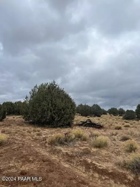 54489 N Calle Contenta Rd, Seligman, AZ 86337
