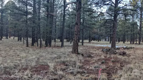 0 S Golden Meadow Trl, Williams, AZ 86046
