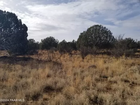 47 Mile High Rd, Ash Fork, AZ 86320 photo 5