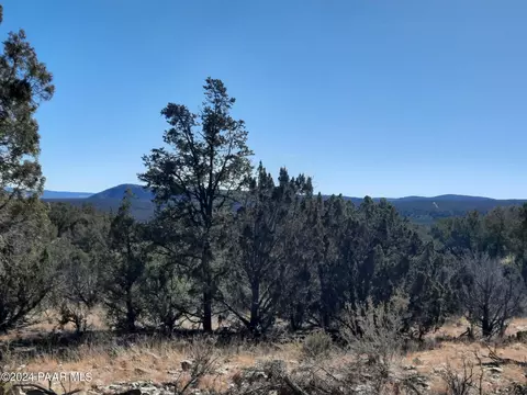 48875 N Sundance Way, Seligman, AZ 86337