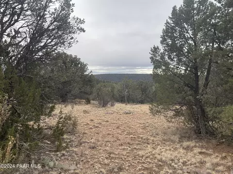Lot 255 Ridge Runner Road, Seligman, AZ 86337
