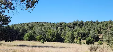 237 N El Gato Dr, Seligman, AZ 86337