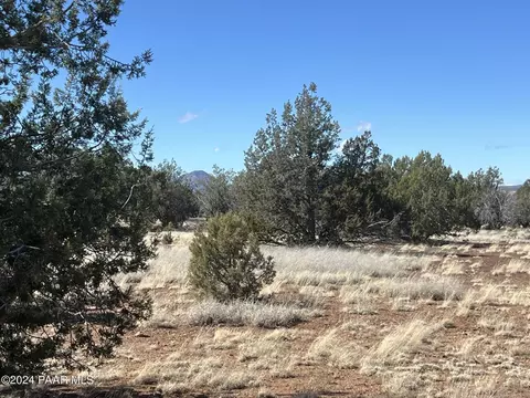 358 Lucky Ln, Ash Fork, AZ 86320 photo 12