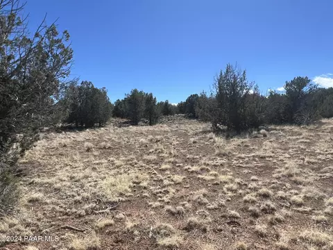 358 Lucky Ln, Ash Fork, AZ 86320 photo 6