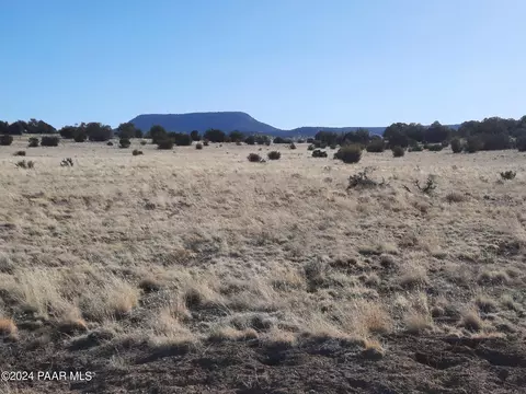 Lot 1247 Off Tin Star Trl, Seligman, AZ 86337