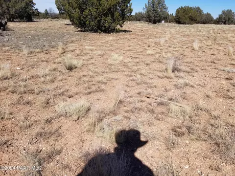 42650 N Wayne Rd, Ash Fork, AZ 86320 photo 10