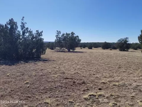 42650 N Wayne Rd, Ash Fork, AZ 86320 photo 9