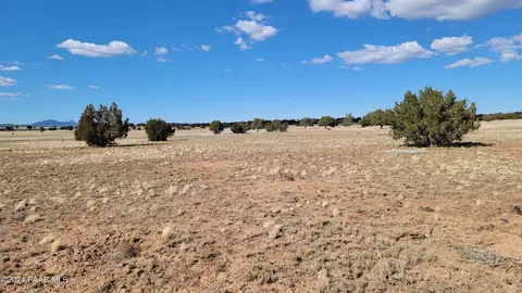 282 Juniperwood Rnch, Ash Fork, AZ 86320 photo 7