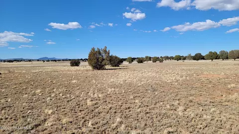 282 Juniperwood Rnch, Ash Fork, AZ 86320 photo 8